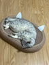 珍宠星球猫抓板窝剑麻猫抓板麻布猫抓盆不掉屑猫窝宠物猫玩具猫爪板 实拍图