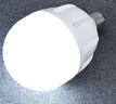 FSL佛山照明大功率LED灯泡42W节能灯具E27螺口6500K白光柱形 实拍图