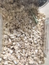 硃碌科 有机燕麦片900克(1.8斤)罐装生燕麦片早餐杂粮纯燕麦 需煮食 实拍图
