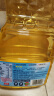 多力【张若昀同款】葵花籽油1.8L 小包装油  去壳压榨 零反式脂肪酸 实拍图