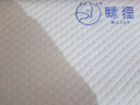 MLILY 眯狸记忆棉枕头颈慢回弹护颈椎枕记忆枕 成人睡眠枕60*30*10/8cm 实拍图