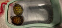 正宗金龟招财金钱大龟观赏黄金龟宠物小乌龟活物大乌龟深水吃菜龟 7—8厘米  （黄金龟） 情侣一对 实拍图