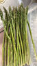 芦笋头(≤25cm)240g 实拍图