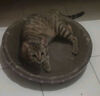 【京东物流】猫抓板磨爪猫窝一体耐磨不掉屑超大号猫玩具猫咪用品 圆形超大号+猫薄荷 实拍图