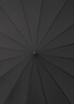 天堂 长柄加大雨伞半自动强抗风商务直杆伞晴雨伞65*16骨11013E摩登灰 实拍图