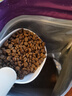 星益生趣（STELLA&CHEWY'S）美国原装进口SC无谷RC冻干涂层全猫粮鸡肉 10lb/4.54kg 效期25.10 实拍图