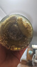 德维利德国进口 俄式酸黄瓜670g 俄罗斯风味罐头沙拉三明治汉堡配菜 实拍图
