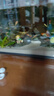宠翰鱼盐鱼缸清洁盐观赏鱼水族盐海盐净化水质养鱼用品2斤 实拍图