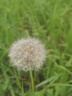 三只松鼠混合口味小麻花500g箱装芝麻麻辣海苔竹盐中式糕点点心下午茶酥脆 实拍图