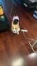 KONOKO宠物沐浴露猫咪狗狗清洁杀菌除螨除臭去味比熊泰迪专用浴液洗澡液 实拍图