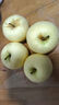 京极鲜 山东烟台黄元帅苹果粉面沙甜孕妇老人 【精品礼盒】带箱9.5-10斤 实拍图