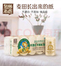 泉林本色有芯卷纸 3层160克*10卷 卫生卷筒纸 易溶不堵不漂白食品级 实拍图