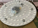 雷士（NVC）LED吸顶灯改造灯板替换灯盘光源灯珠灯泡圆形灯管灯板40W三档调色 实拍图