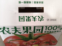 农夫山泉 农夫果园 100%混合果蔬汁 饮料 番茄汁300ml*10瓶 礼盒装 实拍图