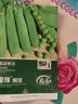 寿禾 豌豆种子苗甜脆大荚青豆冬春蔬菜种籽 潍育皇珠豌豆种子50g*3袋 实拍图