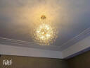 灯太太（DENGTaITaI）照明北欧轻奢简约客厅球形水晶餐厅吊灯美式创意led艺术吧台吊灯 直径50cm  G9*9 实拍图