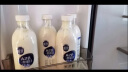 三元 极致A2β-酪蛋白巴氏杀菌鲜牛奶240ml*6 鲜奶 稀奢奶源 实拍图