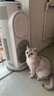 霍尼韦尔（Honeywell）【papi酱同款】宠物猫用空气净化器吸猫毛除甲醛过敏源杀菌消毒霍哈宝H-Cat Hub家电国家补贴 实拍图