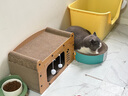疯狂的主人猫抓板窝特大号猫玩具猫爪板猫抓盆不掉屑猫窝椭圆形瓦楞纸 实拍图
