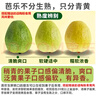 京觅红心白心脆果双拼芭乐 净重4.5斤 红150g起+白160g起源头直发  实拍图