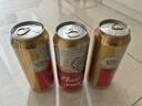 百威啤酒经典纯生500ml*12听整箱装新旧包装  实拍图