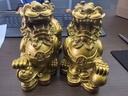 黄铜貔貅摆件一对招財公母男女铜貔貅聚財开业财位送礼风水店铺 【一对】黄铜貔貅19CM（发10样） 实拍图