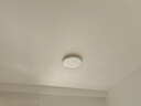 米家（MIJIA）小米米家护眼智能全光谱吸顶灯D30【国家补贴】【包安装】灯具 实拍图