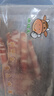 澳纽宝 新西兰原切牛肉卷1斤 涮火锅食材 生鲜牛肉 实拍图