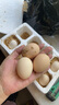芮瑞 农家散养新鲜现捡鸡蛋笨鸡蛋谷物柴鸡蛋初生蛋 单枚40±5g 8枚装 实拍图