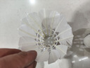 羽毛球正品白羽耐打白色比赛防风训练用球室内室外专业 【家庭款】白羽无标-12只装 1筒 实拍图
