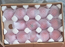 京鲜生 山东普罗旺斯番茄 净重4.5斤 单果125g+ 沙瓤西红柿 源头直发 实拍图