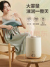 小熊（Bear）【品牌热卖TOP1】加湿器卧室母婴轻音办公室桌面大容量 家用小型空气净化加湿器空调伴侣JSQ-C45U1 实拍图