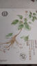 同仁堂（TRT）人参淡纹御龄面贴膜25g*5/盒 亲润呵护补充水分 淡化干纹  实拍图