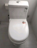松鲸 卫浴家用马桶坐便器大冲力超漩虹吸式静音连体座便器小户型马桶 直冲型【大冲力】+轻音盖板 实拍图