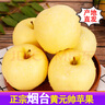 甜醉了 烟台苹果黄元帅粉面苹果黄金帅黄香蕉山东特产新鲜水果整箱生鲜 净重5斤75-80mm 实拍图