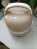 LOTOR电热饭盒自热插电保温热饭器蒸饭器上班族带饭神器办公室蒸煮可加热饭盒 1.45L 卡其色标准款 实拍图