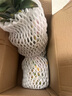 佳农凤梨水果新鲜2个果削皮即食sw菲律宾进口凤梨新鲜水果顺丰 【中大果】单颗约1050g*2颗 实拍图