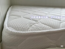 索菲亚抗菌椰棕乳胶床垫可折叠抗压硬垫家用榻榻米床褥单双人宿舍铺垫子 方格白【3E椰棕+乳胶】厚4cm 150cm*200cm【双人床】助眠护脊 实拍图