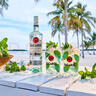 百加得(Bacardi) 洋酒 白朗姆酒 莫吉托 基酒调酒 500ml 调酒必备 实拍图