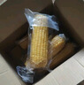 京鲜生东北白糯玉米250g*10棒 新鲜甜糯玉米棒真空包装粘玉米 源头直发 实拍图