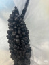 三只松鼠每日蓝莓干256g/16包 无添加水果干果脯小包装儿童老人办公室零食 实拍图