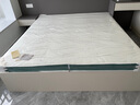 富安娜床垫 山棕椰棕床垫硬 乳胶床垫 三重防螨抑菌榻榻米床垫 山棕+乳胶-12cm厚 150*200 实拍图
