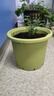史丹利花盆家用树脂塑料盆栽加厚多肉月季阳台庭院加仑盆苹果绿高197mm 实拍图