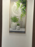 墨派（Mopai）玄关装饰画竖版现代简约走廊过道背景墙壁画入户轻奢挂画免打孔 多叶多财 60*120cm晶瓷+铝合金边框 实拍图
