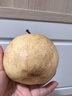 【已售50万斤】河北水晶鸭梨赵州鸭梨产地直发单果160g起 带箱3斤（净重2.5斤） 实拍图