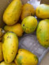 海南小台农芒果新鲜现摘小台芒应当季热带水果特产甜心熟芒果整箱 大果(更大更甜) 小台芒9斤-JD快递 实拍图