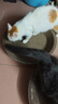 疯狂的主人 猫抓板窝超大号猫玩具猫爪板猫抓盆不掉屑猫窝碗形圆形瓦楞纸 实拍图