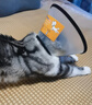 欢宠网伊丽莎白圈猫宠物狗猫咪狗狗绝育软项圈头套脖套防舔防咬脖圈耻辱 实拍图