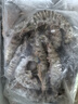 森农乐舟山竹节虾鲜活斑节虾特大九节虾冷冻野生大虾基围虾黑虎虾海虾类 1000g(净重)  13-16cm【14-18头/斤】 实拍图