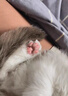 ERGOBABY宠物猫咪剃毛器狗狗剃脚毛修剪神器猫脚毛修剪器电推剪电动推子 实拍图